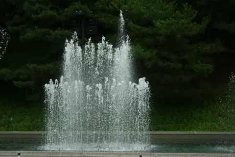 2006년 7월 29일