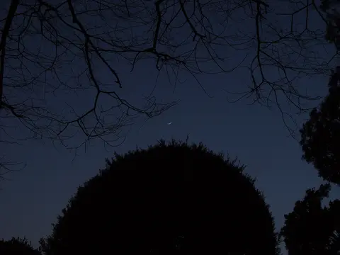 겨울 풍경