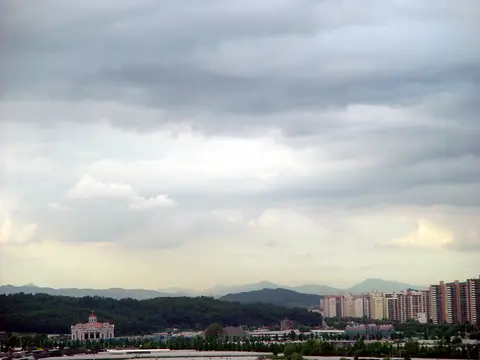 회사 풍경