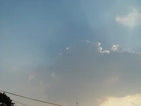 온세상이 월드컵이던 시절