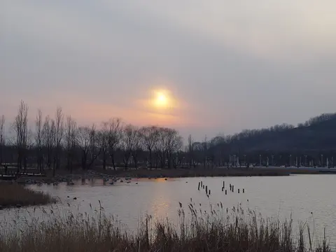 100일 휴가