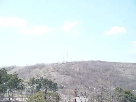 2005년 3월 13일