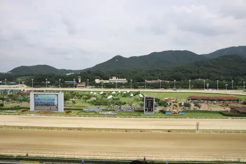 2009년 8월 29일