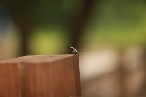 2011년 6월 10일