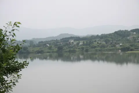 2010년 7월 8일