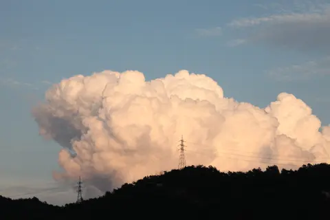 2010년 8월 11일