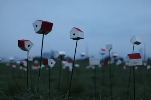 2011년 7월 30일