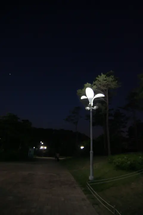 2007년 5월 13일