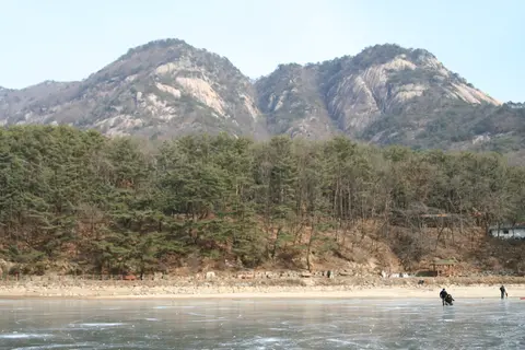 2006년 12월 29일