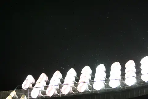 2007년 7월 6일