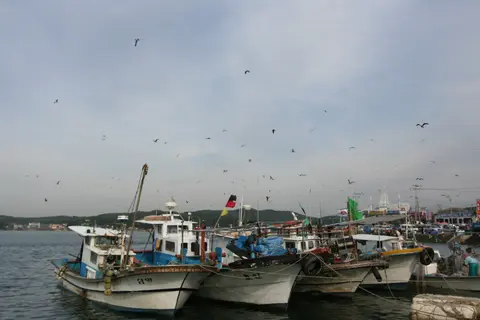 2007년 10월 13일